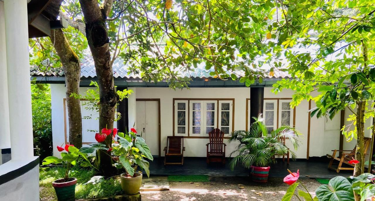 Drongo Place Dikwella Dış mekan fotoğraf